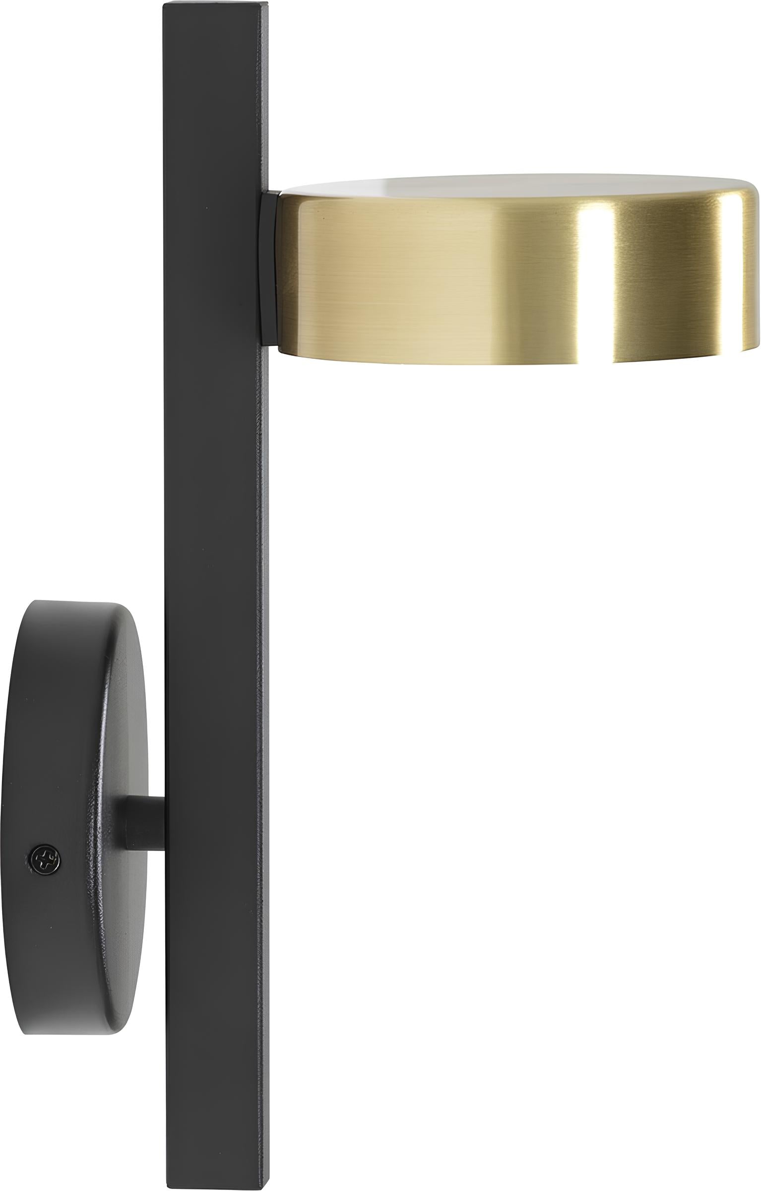 Luxury Black Wall Sconce in Minimalist Interior